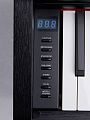 Sai Piano P-150BK